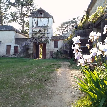 In A Renaissance Castle Layrac